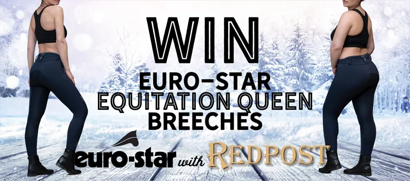 Euro-Star Equitation Queen Breeches Euro-Star Equitation Queen Breeches